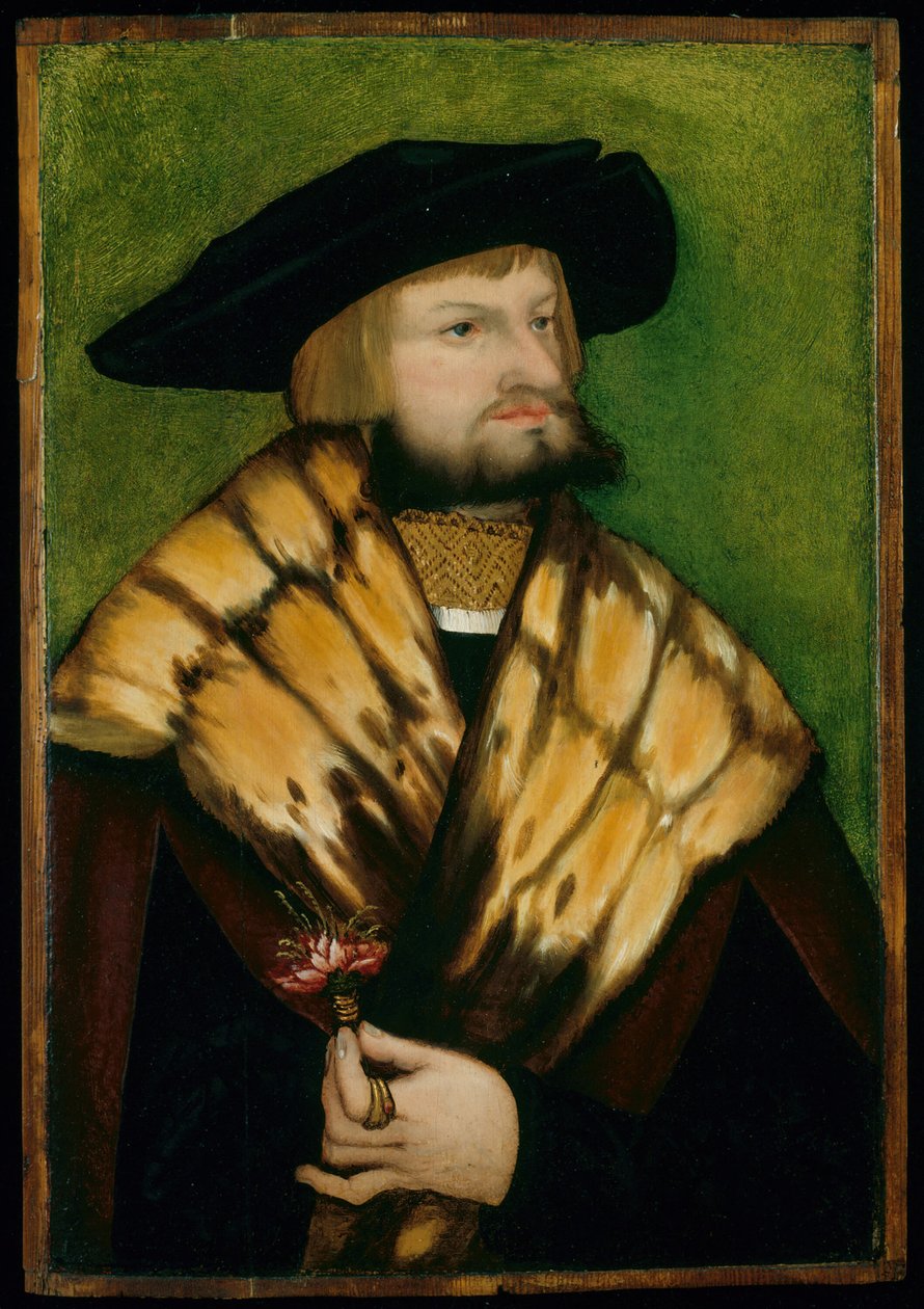 Retrato de Leonhard Fuchs, 1525 de Unbekannt
