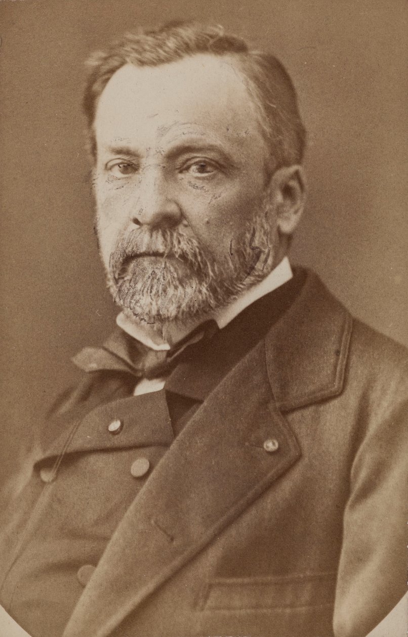 Retrato de Louis Pasteur 1822-1895 de Unbekannt