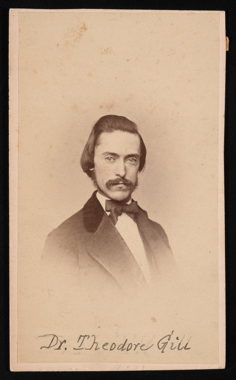 Retrato de Theodore Nicholas Gill 1837-1914, alrededor de 1860s de Unbekannt