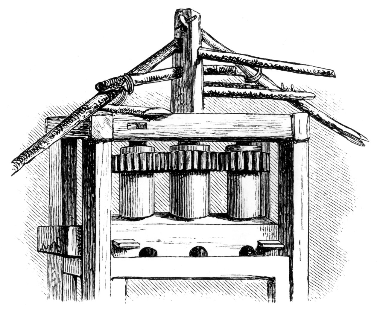 Molino de azúcar primitivo, Santo Domingo, 1873 de Unbekannt
