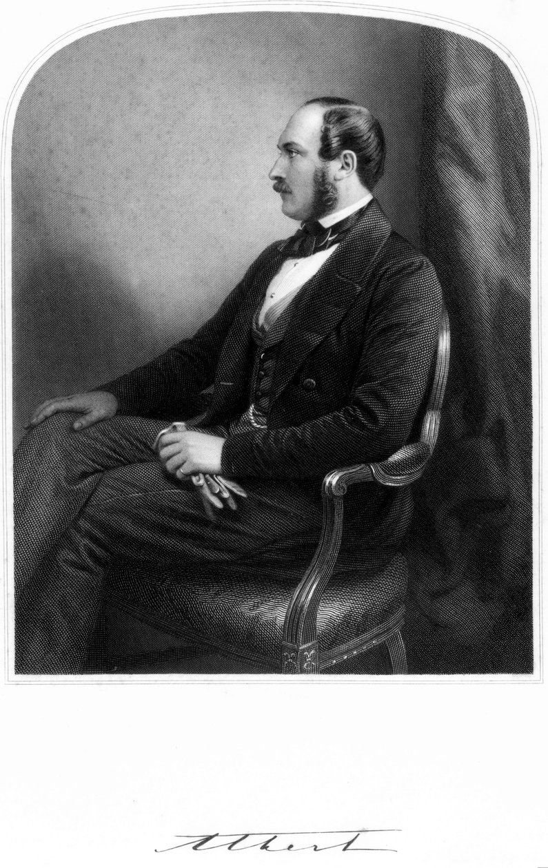 Príncipe Alberto, consorte de la Reina Victoria, c 1850-1859 de Unbekannt