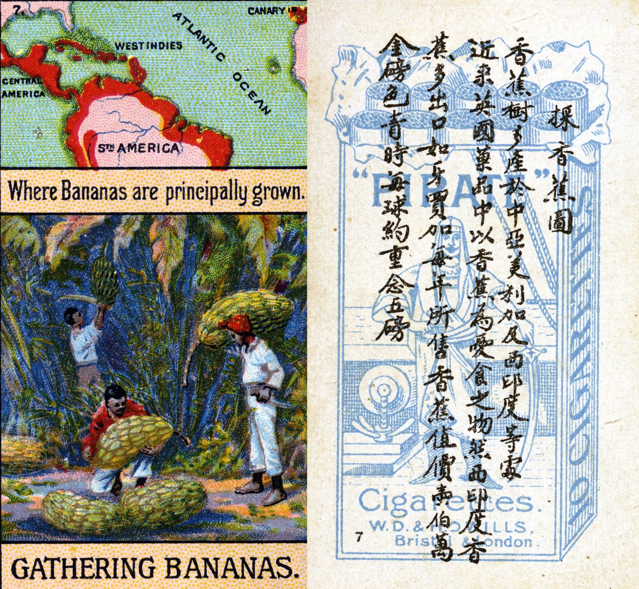 Áreas principales para el cultivo de bananas, de la serie de tarjetas de cigarrillos 