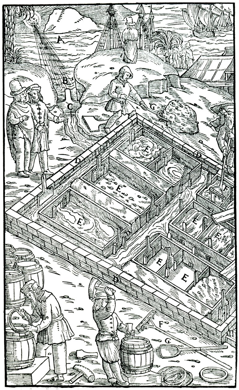 Producción de sal por evaporación de agua de mar en salinas, 1556 de Unbekannt