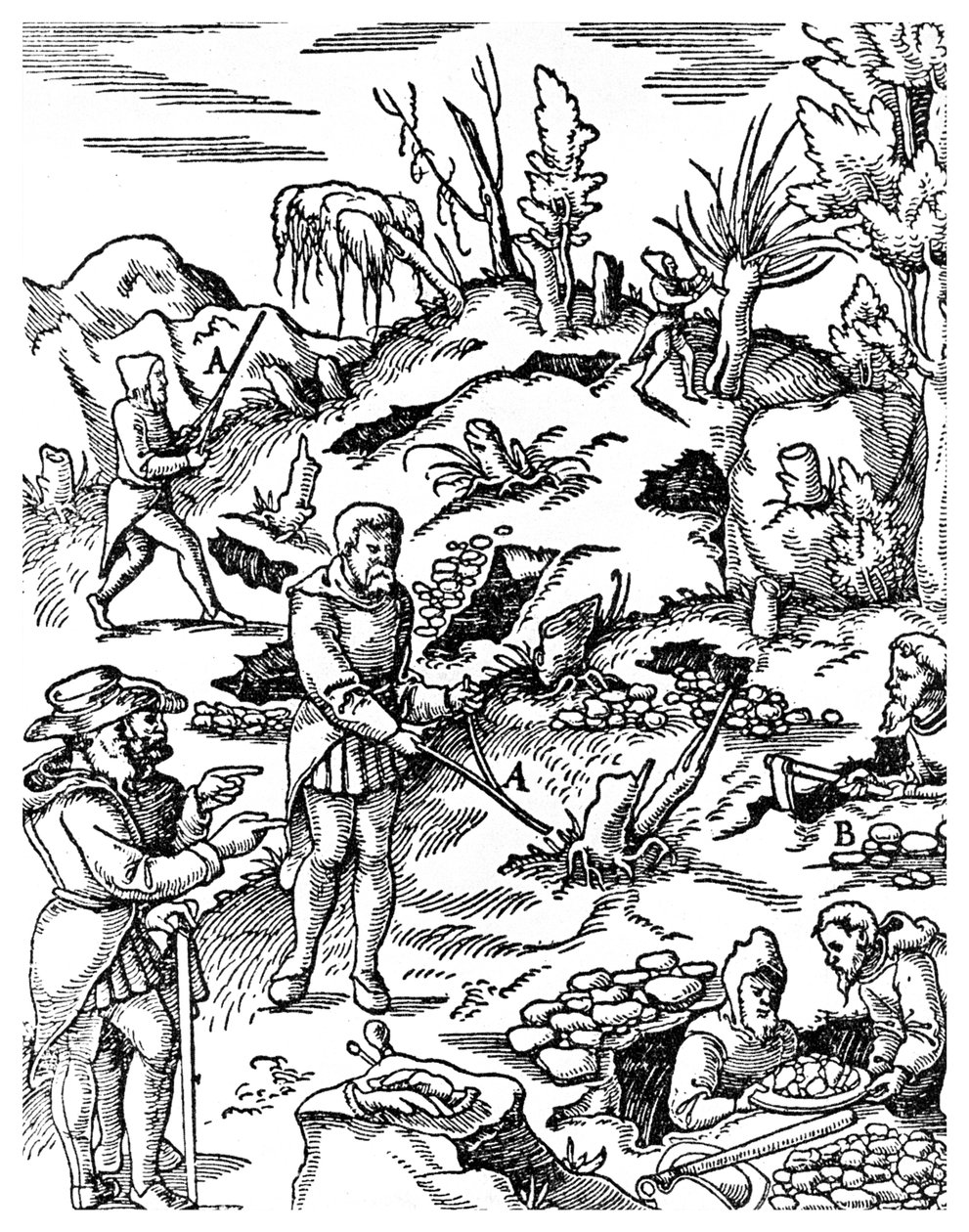 Prospección de metales, 1556 de Unbekannt