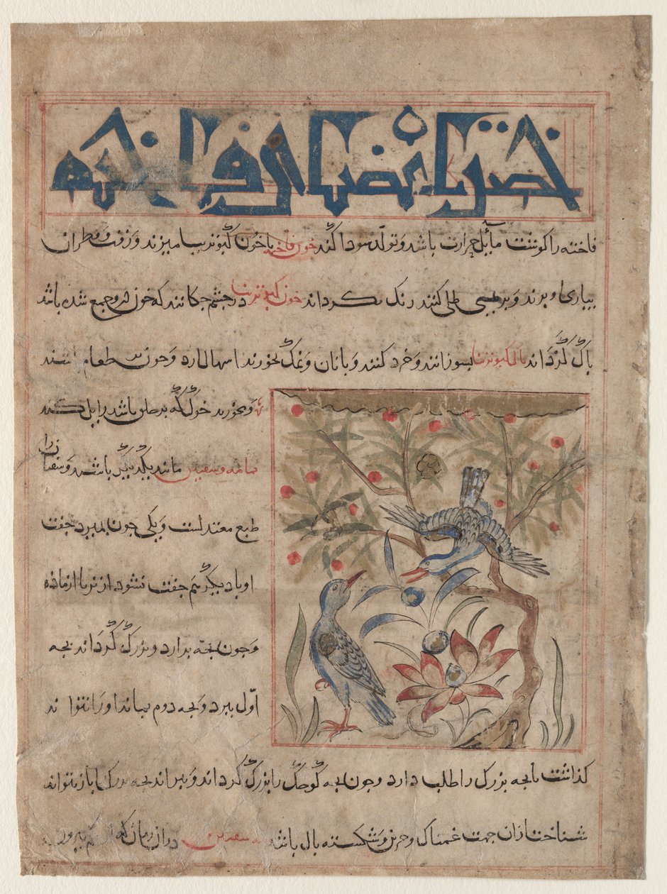 Cualidades de las tórtolas (recto), Sobre los beneficios de las codornices (verso), c. 1300 de Unbekannt