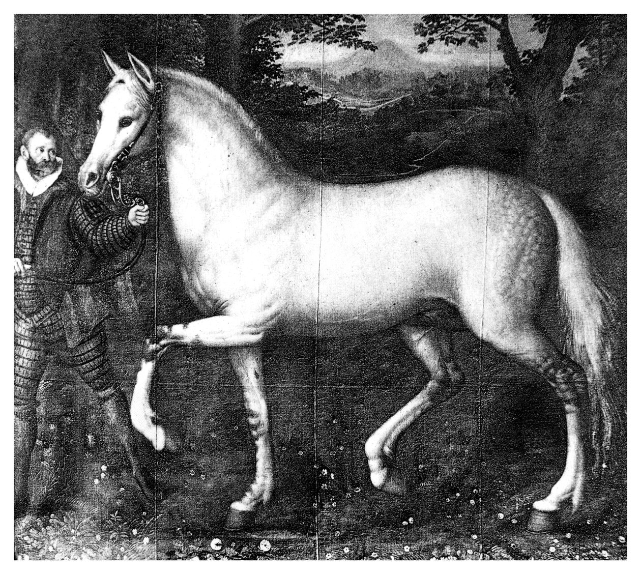 El caballo de la Reina Isabel I, 1896 de Unbekannt