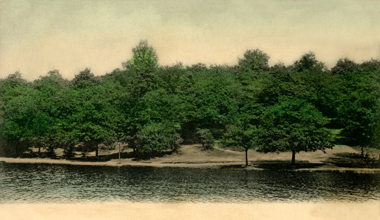 Queensmere, Wimbledon Common, Londres, 1903 de Unbekannt