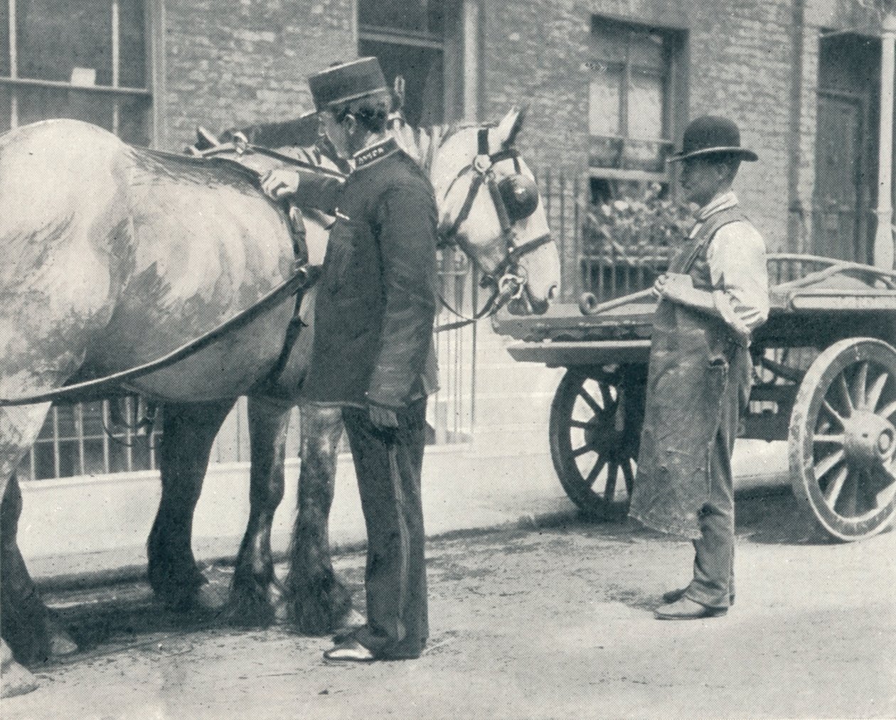 Inspector de la RSPCA Examinando un Caballo, c1903 de Unbekannt