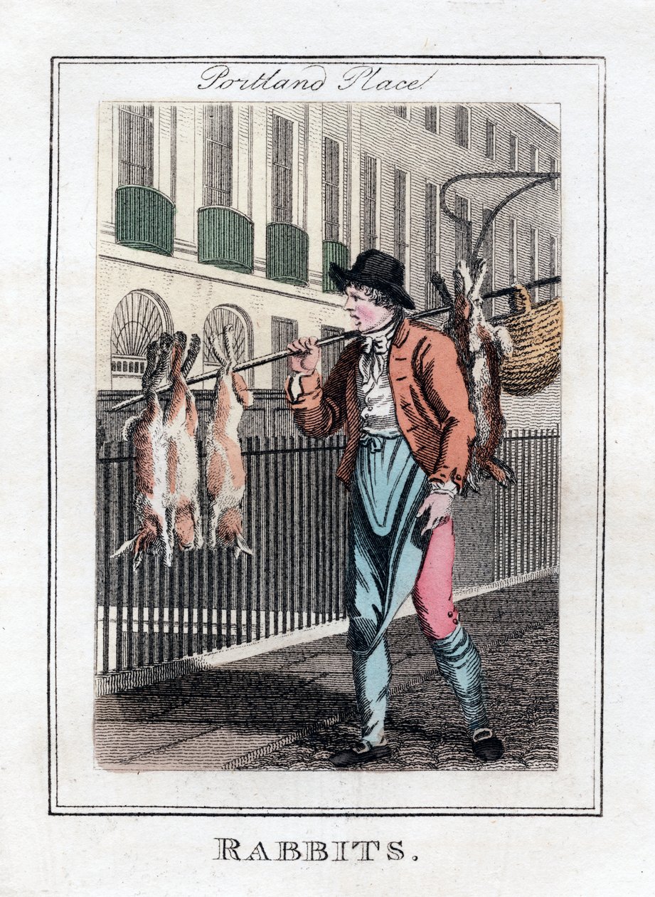 Conejos, Portland Place, Londres, 1805 de Unbekannt