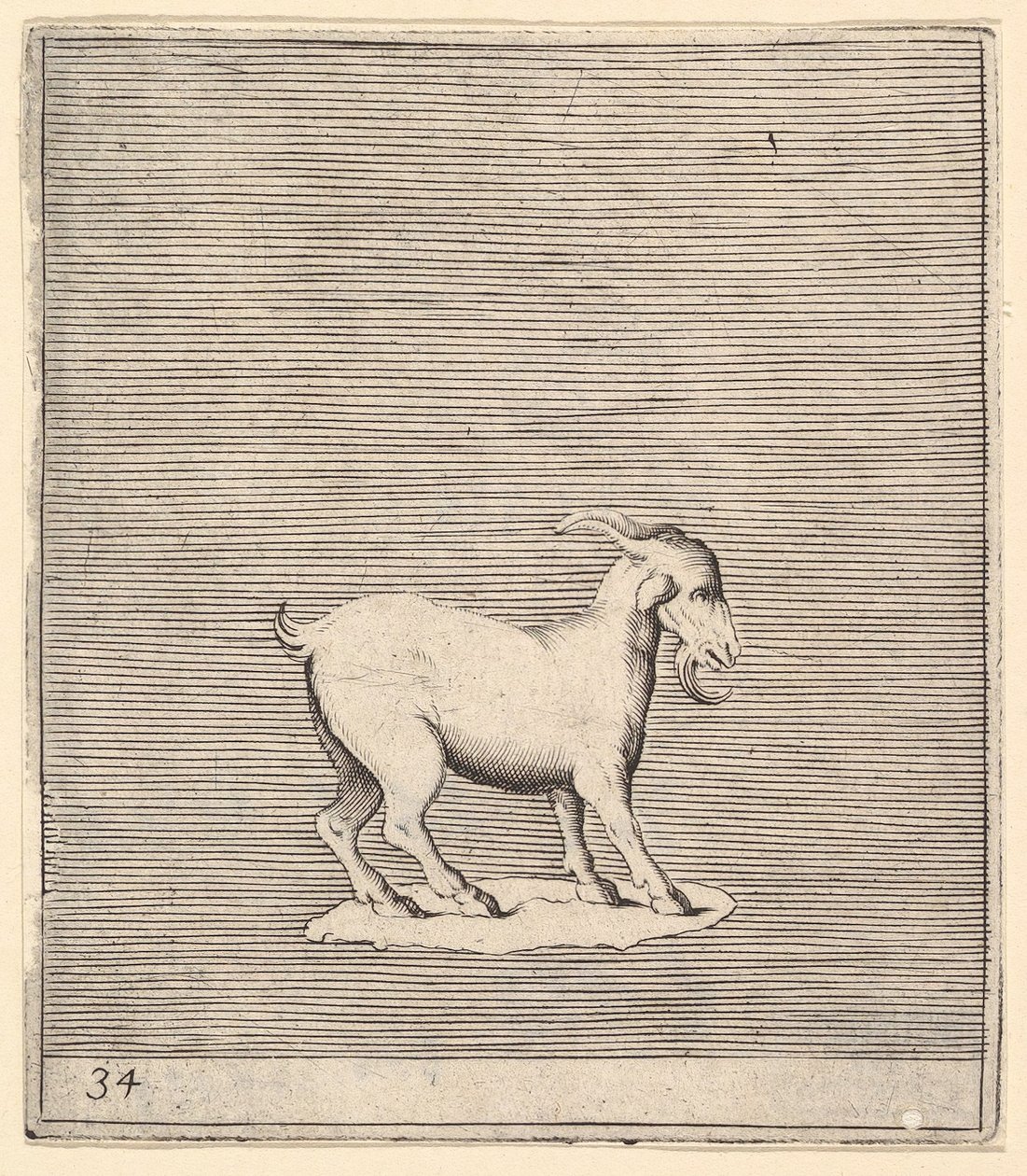 Carnero, publicado ca. 1599-1622 de Unbekannt