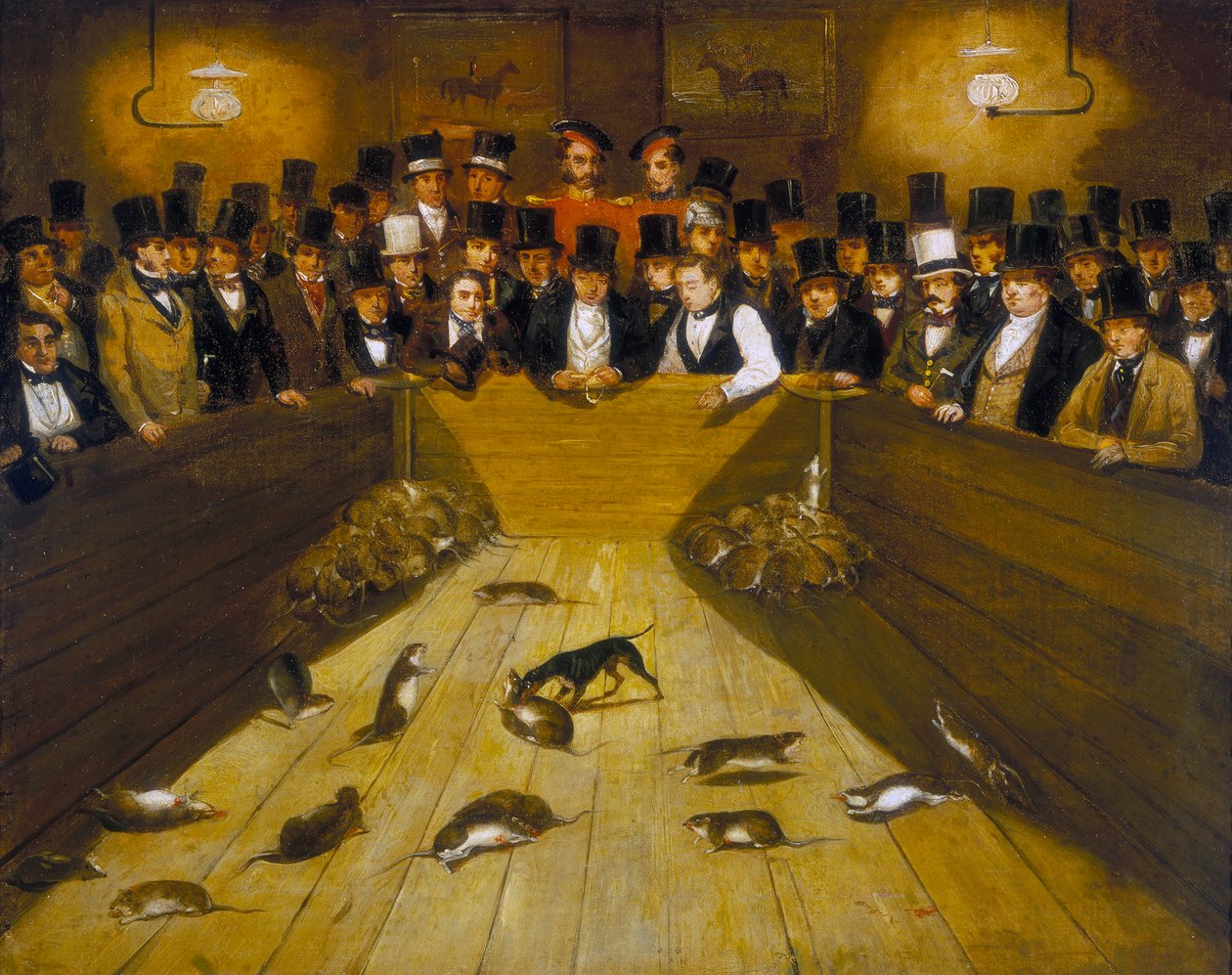 Caza de ratas en la taberna Blue Anchor, Bunhill Row, Finsbury, c. 1850 de Unbekannt