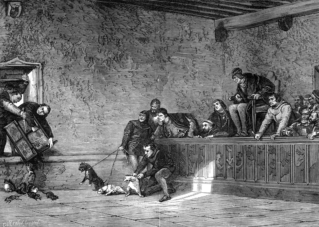 Lucha de ratas, recreación de Luis XI de Francia, 1461-1483 1882-1884 de Unbekannt