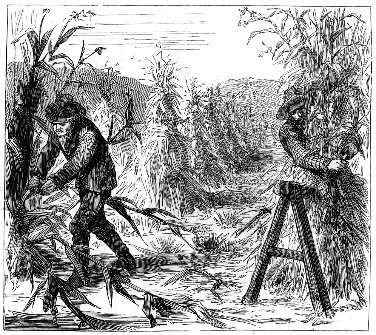 Cosechando y apilando maíz para secar, Lago Drie, Canadá, 1880 de Unbekannt