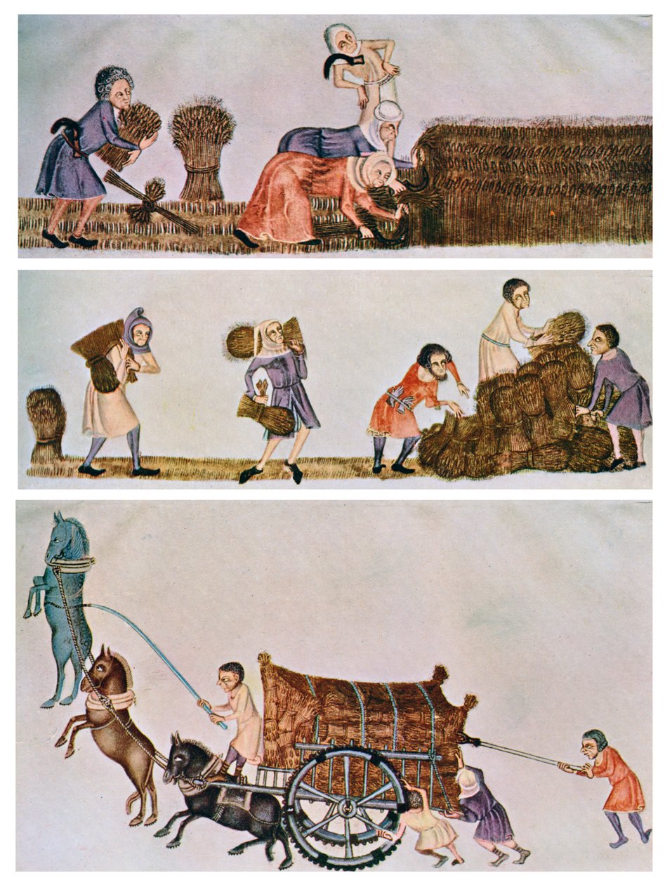 Cosecha, transporte y acarreo, c1300-1340, c1900-1920 de Unbekannt