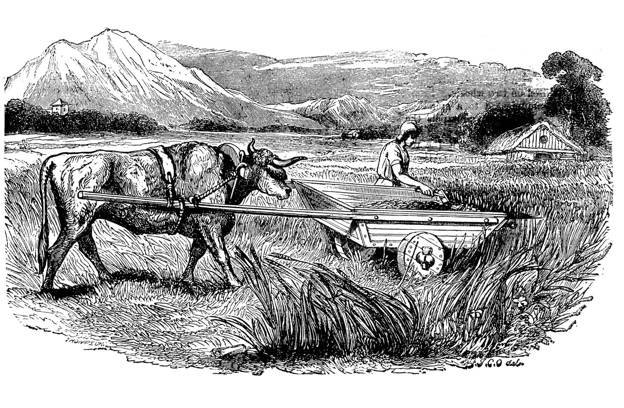 Reconstrucción de carro de segar romano, según lo descrito por Plinio, Grabado, 1860 de Unbekannt