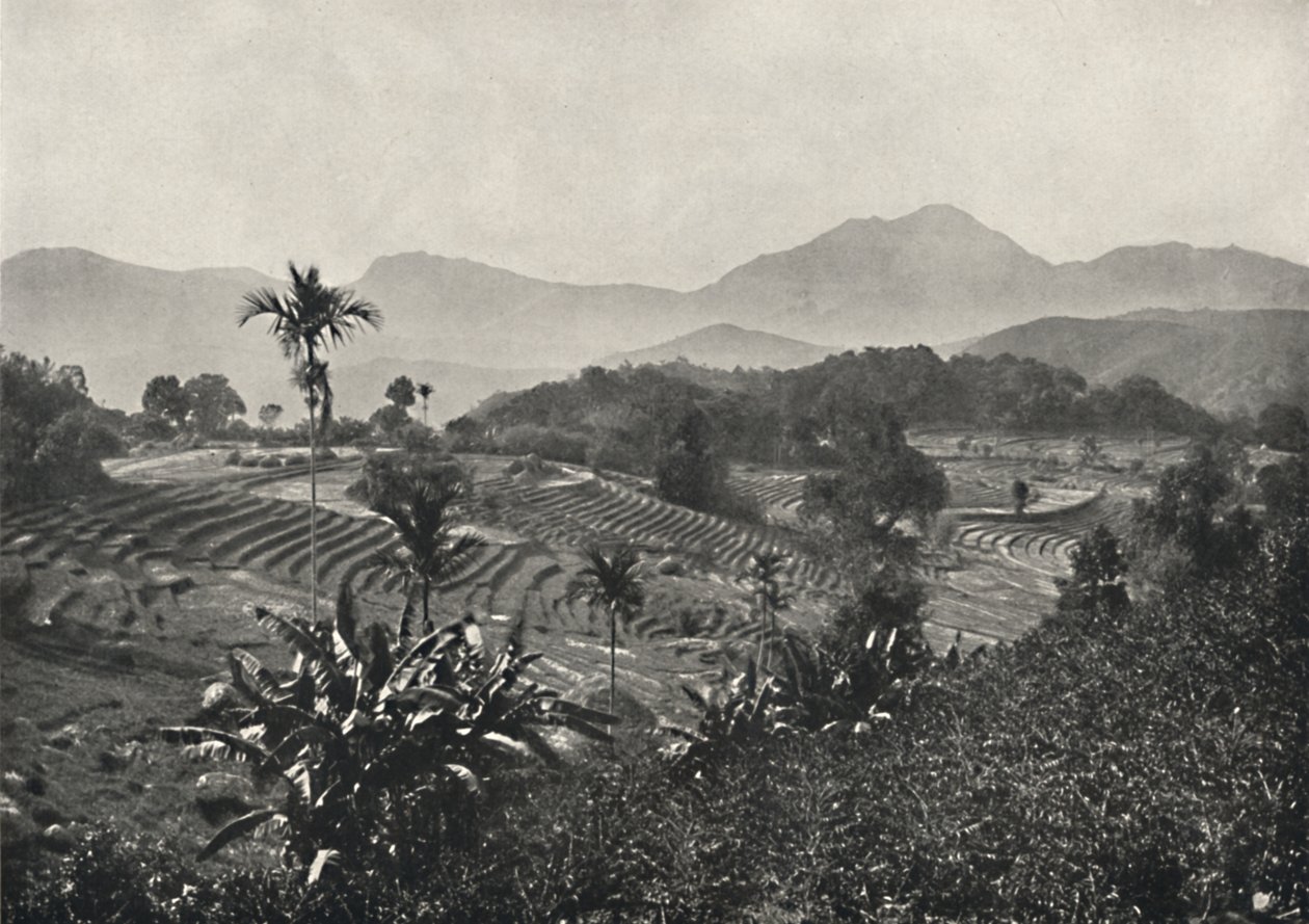 Campos de arroz en terrazas, 1926 de Unbekannt