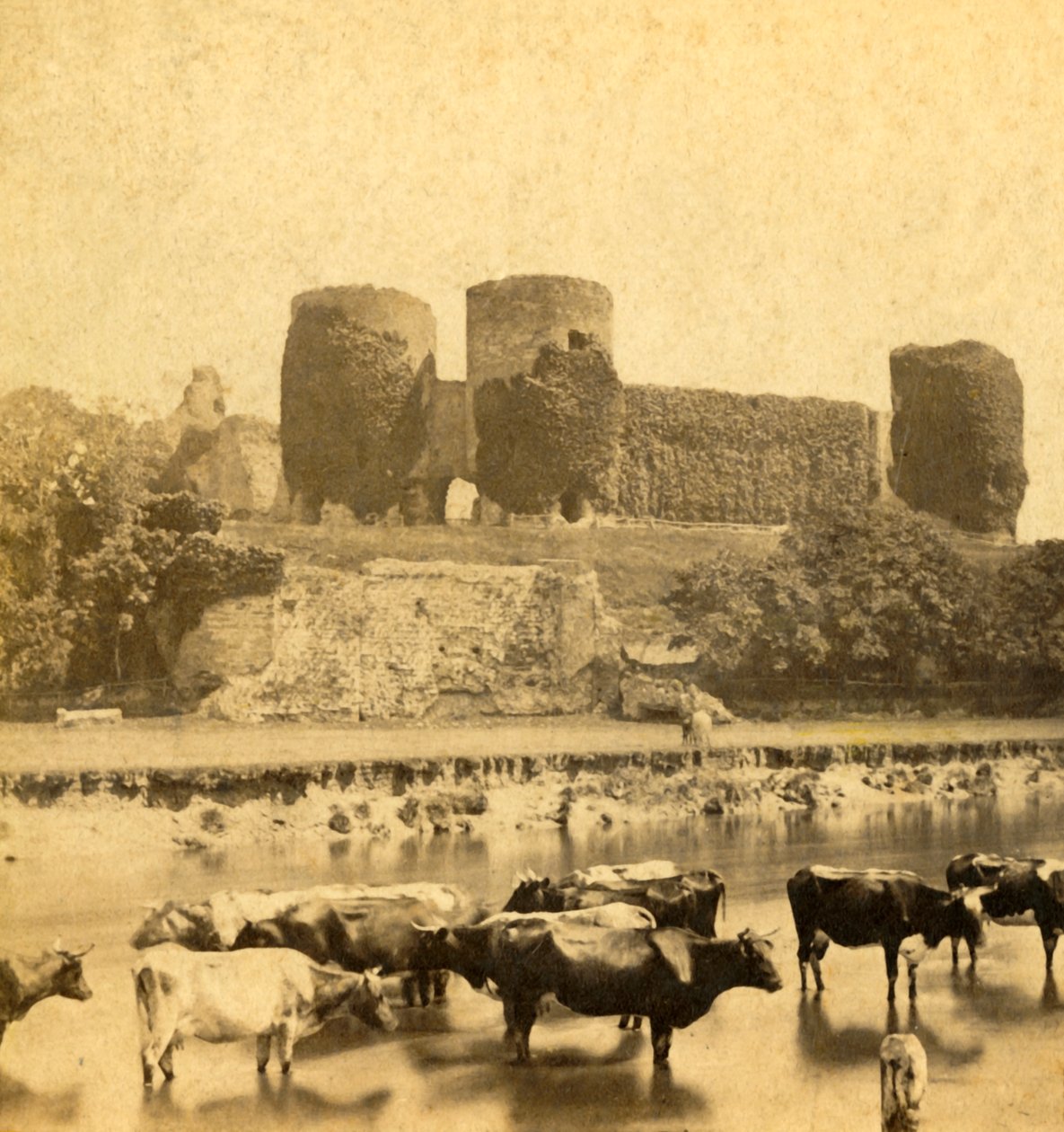 Castillo de Rhuddlan desde el río, c. 1900 de Unbekannt
