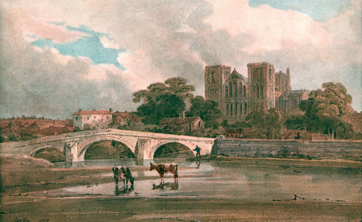 Catedral de Ripon, c. 1800, c. 1900 de Unbekannt
