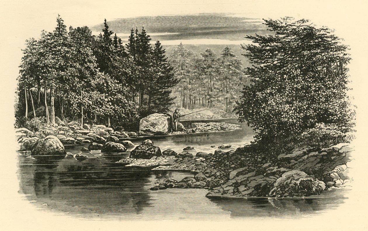 Escena del río, Langdale, c1890 de Unbekannt