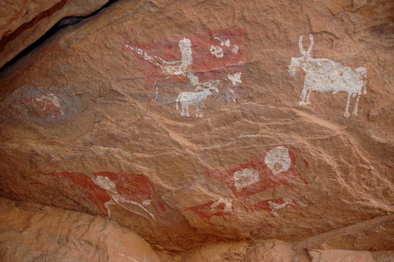 Arte rupestre, Prehistoria: Pintura rupestre de un grupo de ganado y ovejas en un refugio ornamentado, en el macizo de Uweinat, Sudán (Karkur-Talh o Karkur Talh). Período de 8000 a 3000 años a.C. Fotografía de Unbekannt