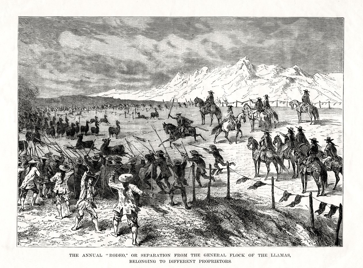 Rodeo, Sudamérica, 1877 de Unbekannt