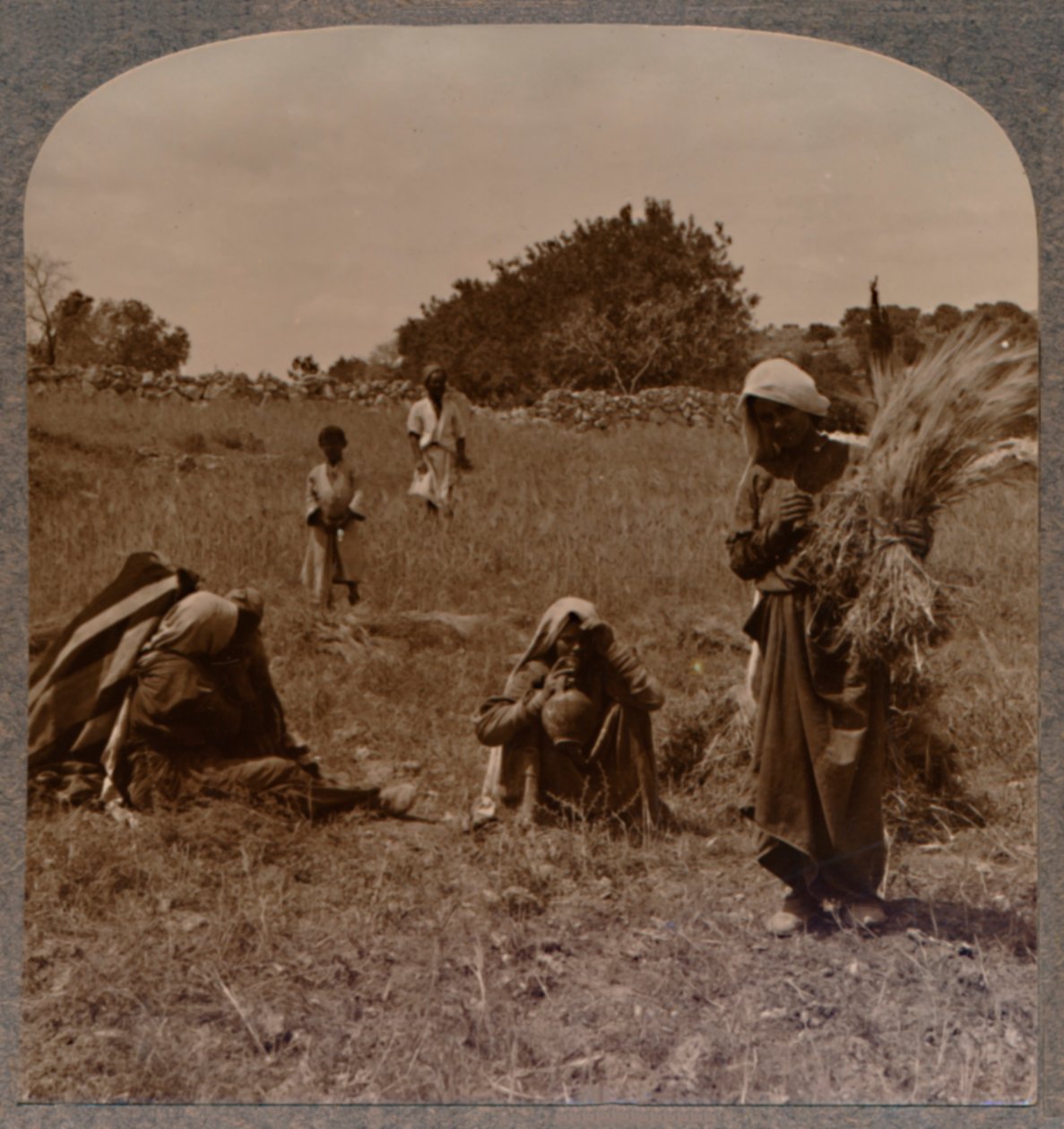 Rut espigando en los campos de Booz, c. 1900 de Unbekannt