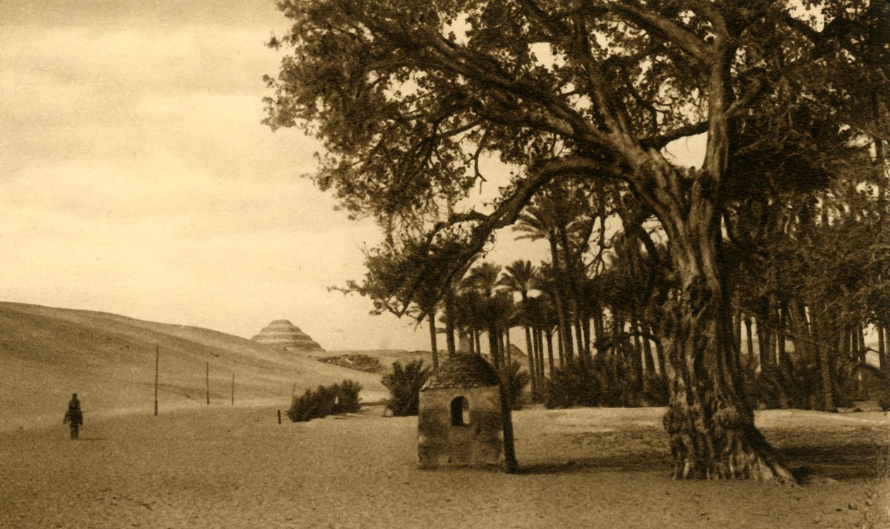 Saqqara - La Pirámide Escalonada vista desde el Sicomoro, c. 1918-c. 1939 de Unbekannt