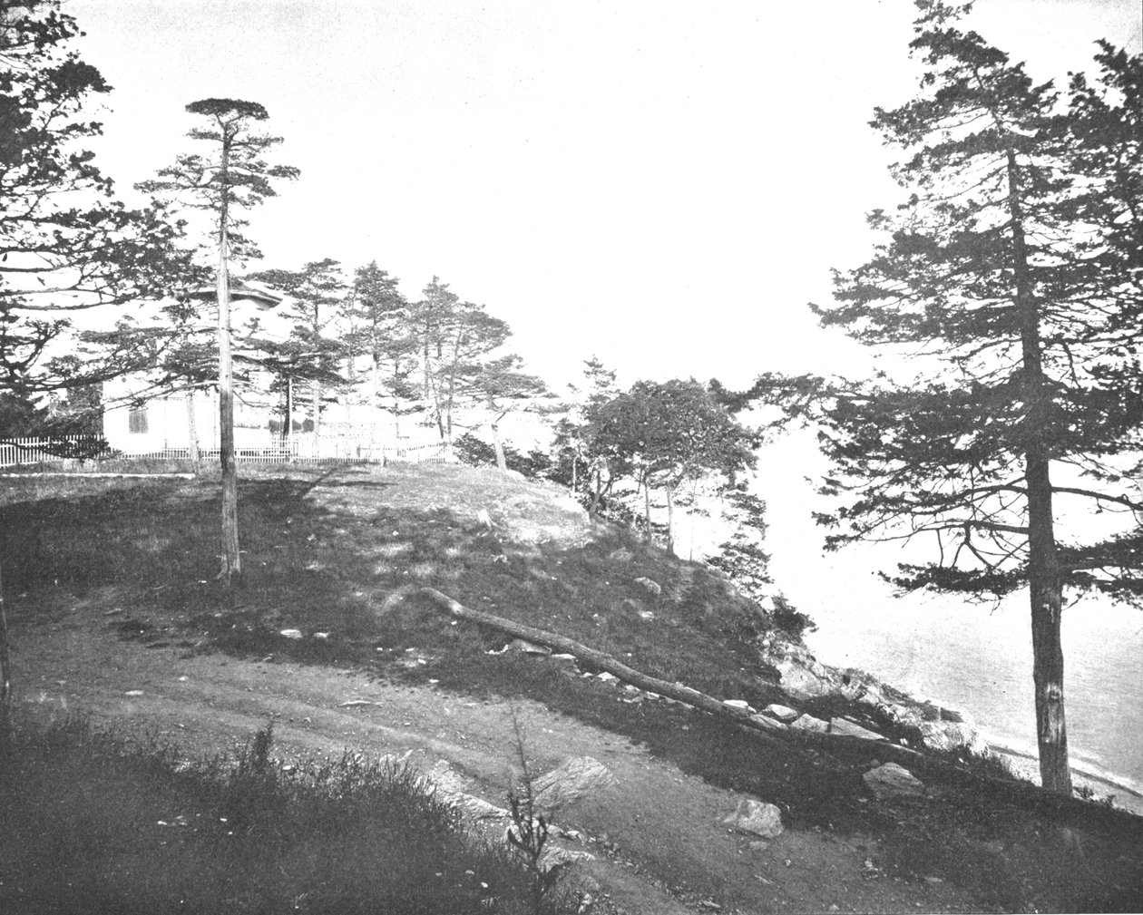 Savin Rock, New Haven, Connecticut, EE.UU., c. 1900 de Unbekannt