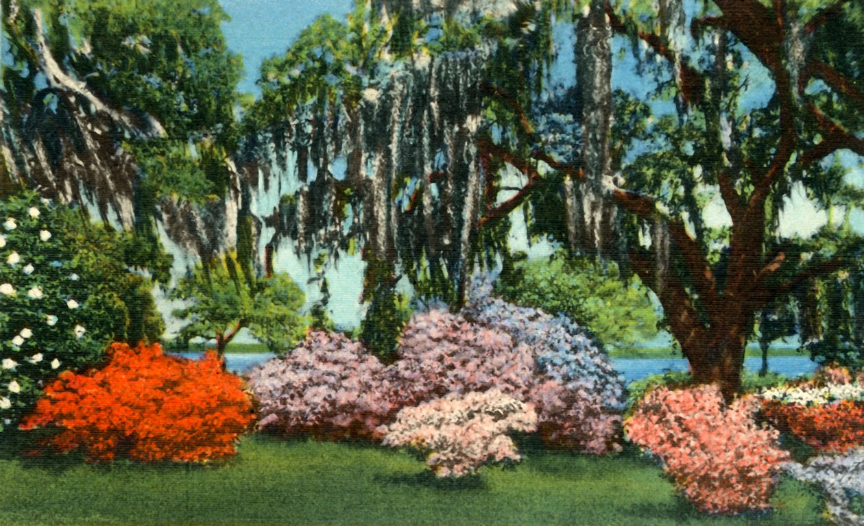 Escena en los jardines de Belle Isle, cerca de Georgetown, S.C., 1942 de Unbekannt