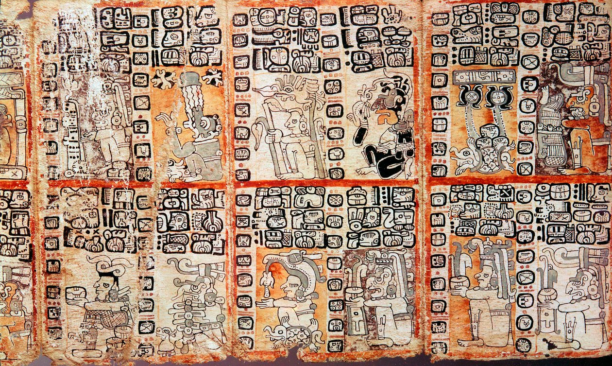 Sección del Códice Troano Maya, siglo XV de Unbekannt