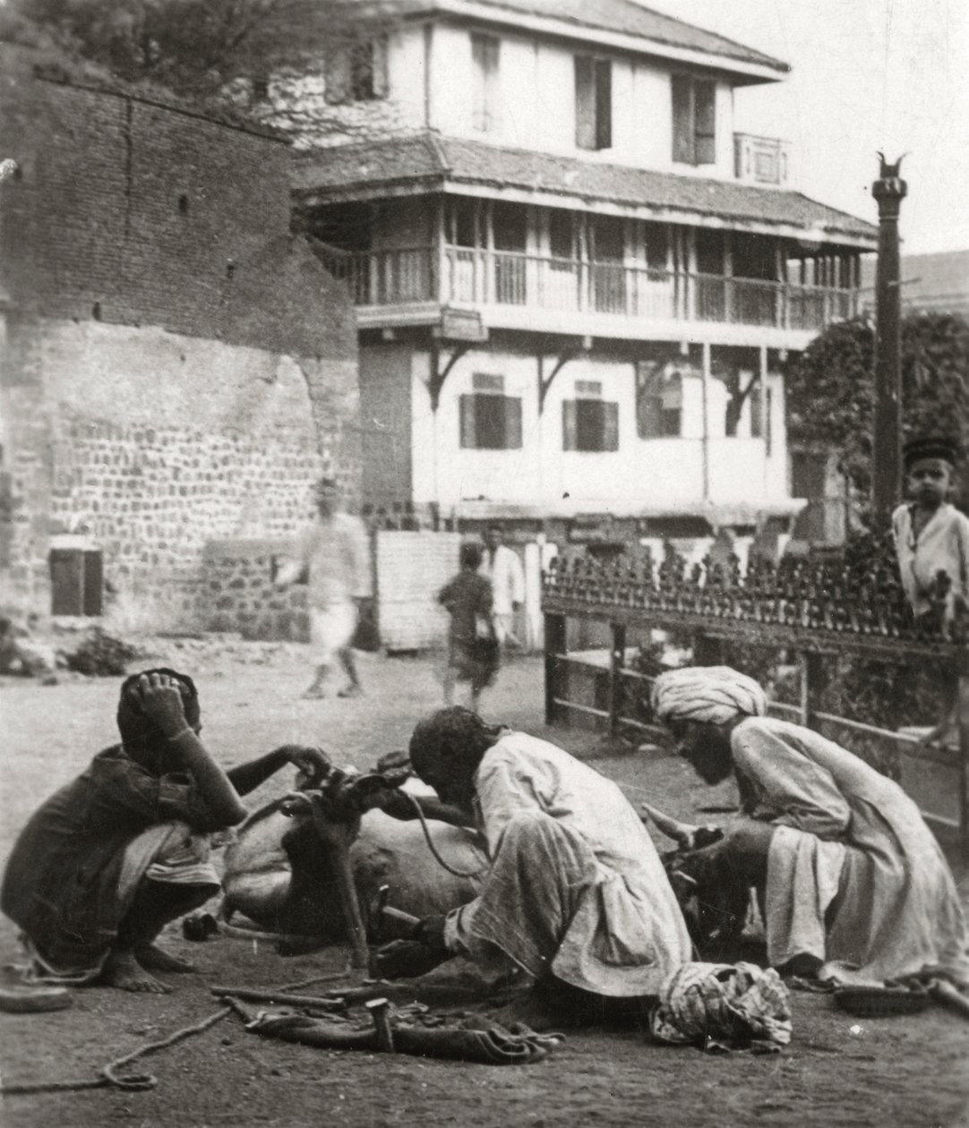 Herrando un buey, India, c1927-c1929 de Unbekannt