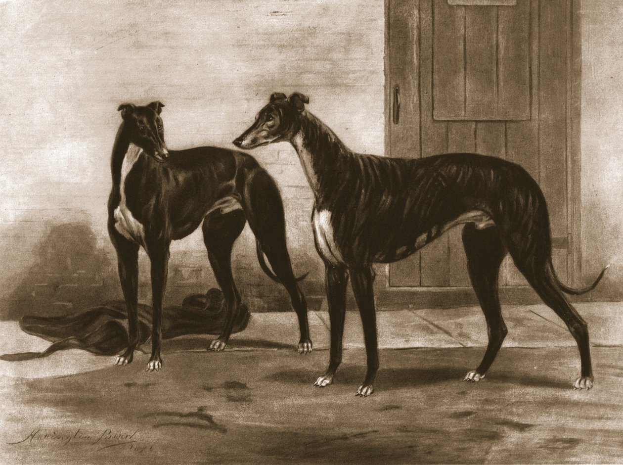 Simonian y Fullerton, c1891, 1911 de Unbekannt