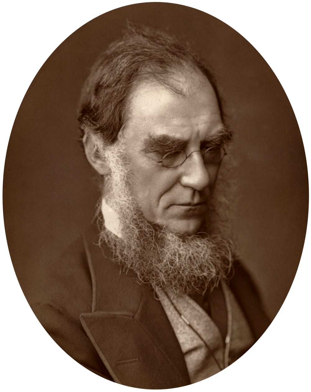 Sir Joseph Dalton Hooker, Director de los Jardines Reales en Kew, 1881 de Unbekannt