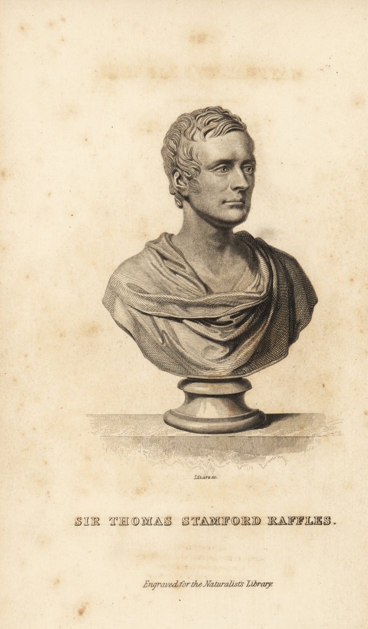 Sir Thomas Stanford Raffles, estadista, escritor y naturalista británico de Unbekannt
