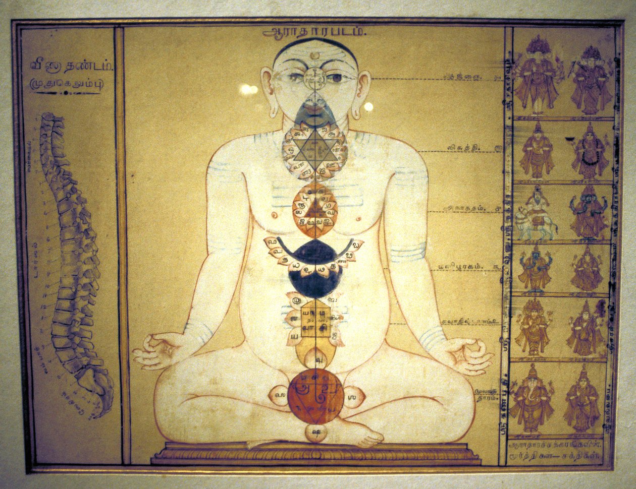Seis Chakras que representan los plexos del cuerpo humano, Tanjore, Tamil Nadu, c. 1850 de Unbekannt