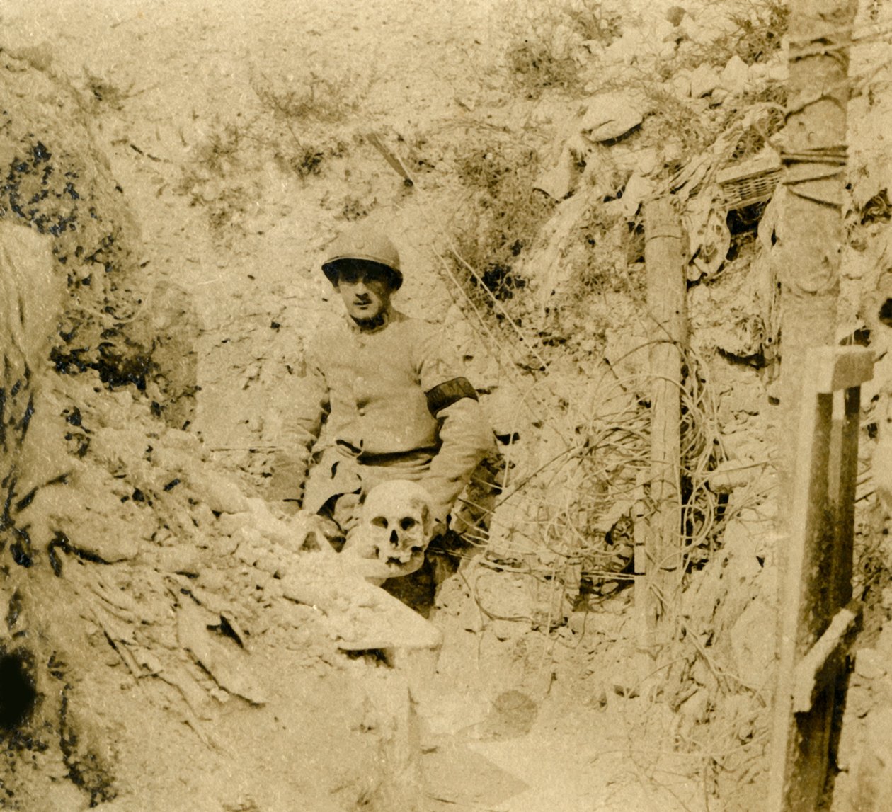 Cráneo encontrado enterrado en las trincheras, c1914-c1918 de Unbekannt