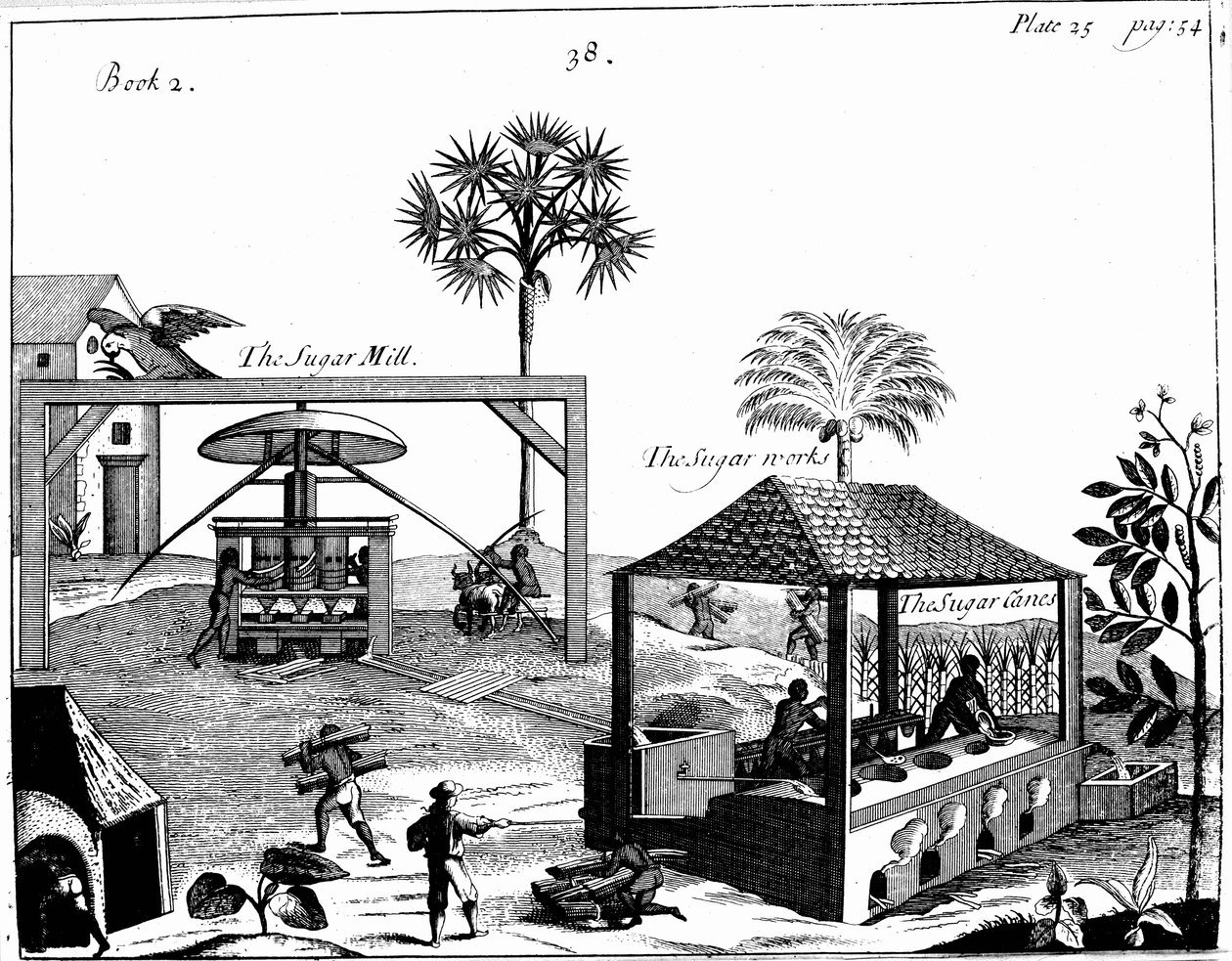 Trabajo esclavo en una plantación de azúcar en las Indias Occidentales, 1725 de Unbekannt