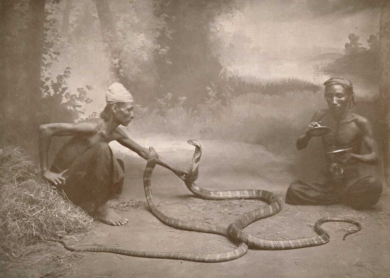 Encantadores de serpientes con cobras hamadríades de Unbekannt