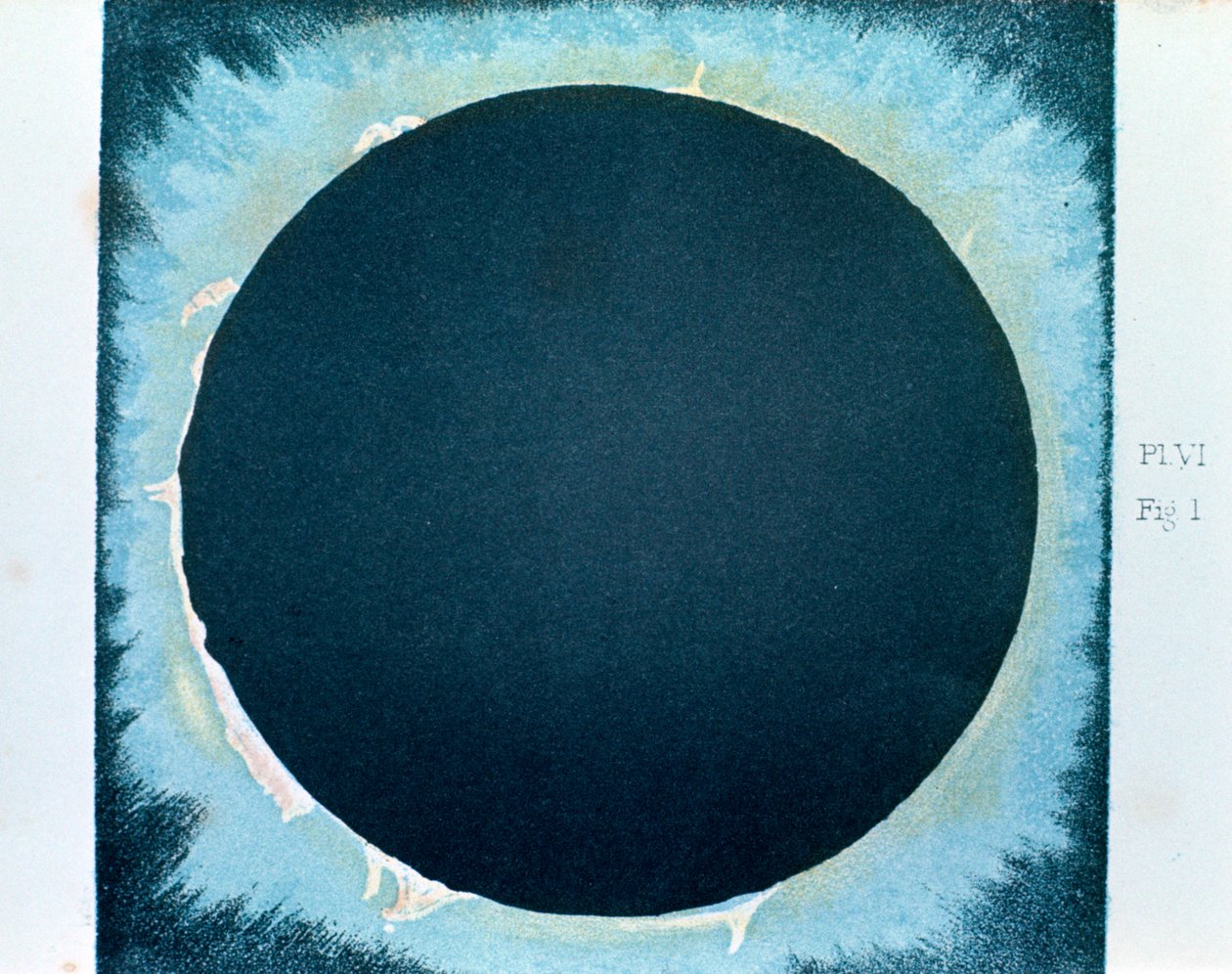 Corona solar y prominencias 1860-1870 de Unbekannt