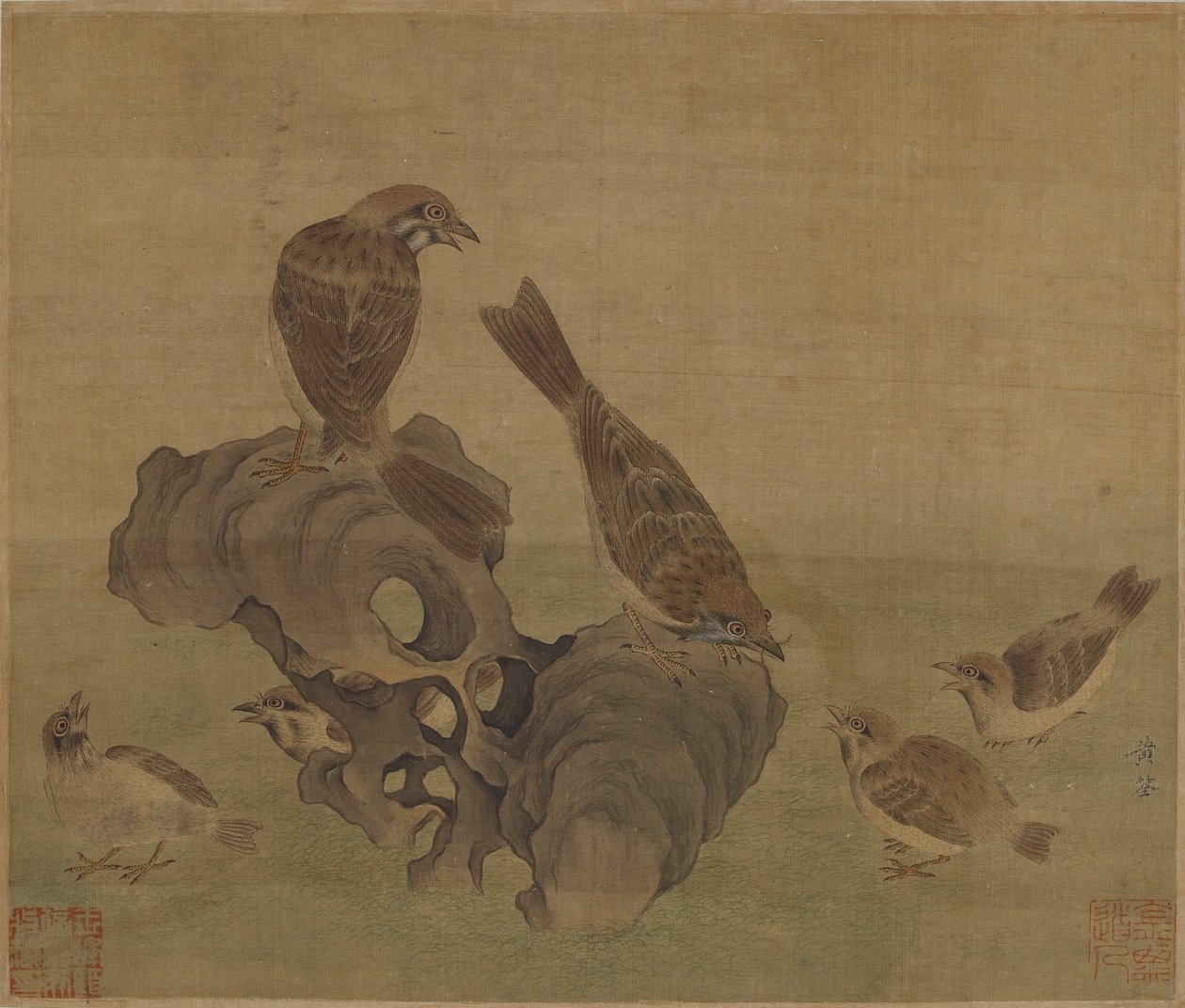 Gorriones alimentando a sus crías, dinastía Ming o Qing, siglo XVII de Unbekannt