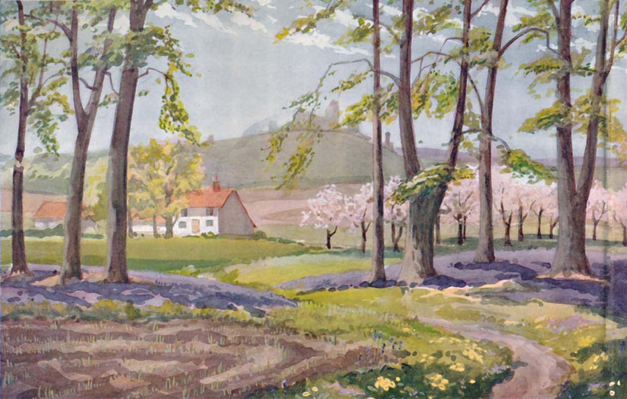 Primavera - Los Cambios Físicos, Químicos y Biológicos Provocados por el Sol Durante el Año, 1935 de Unbekannt