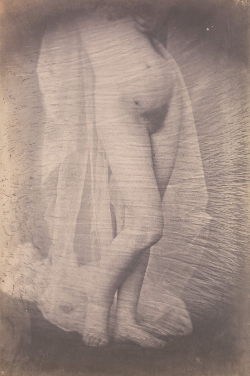 [Desnudo femenino de pie], ca. 1856 de Unbekannt