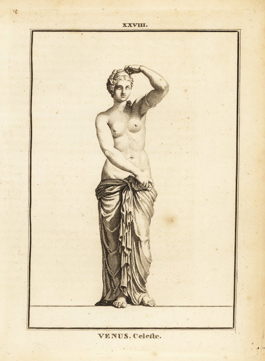 Estatua de Venus Celeste, diosa romana del amor, la belleza, el sexo y la fertilidad de Unbekannt