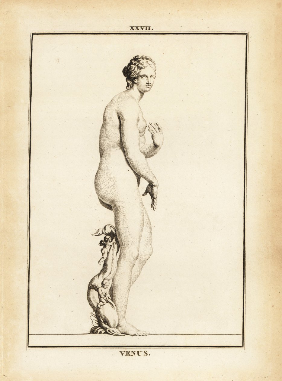 Estatua de Venus, diosa romana del amor, la belleza, el sexo y la fertilidad de Unbekannt
