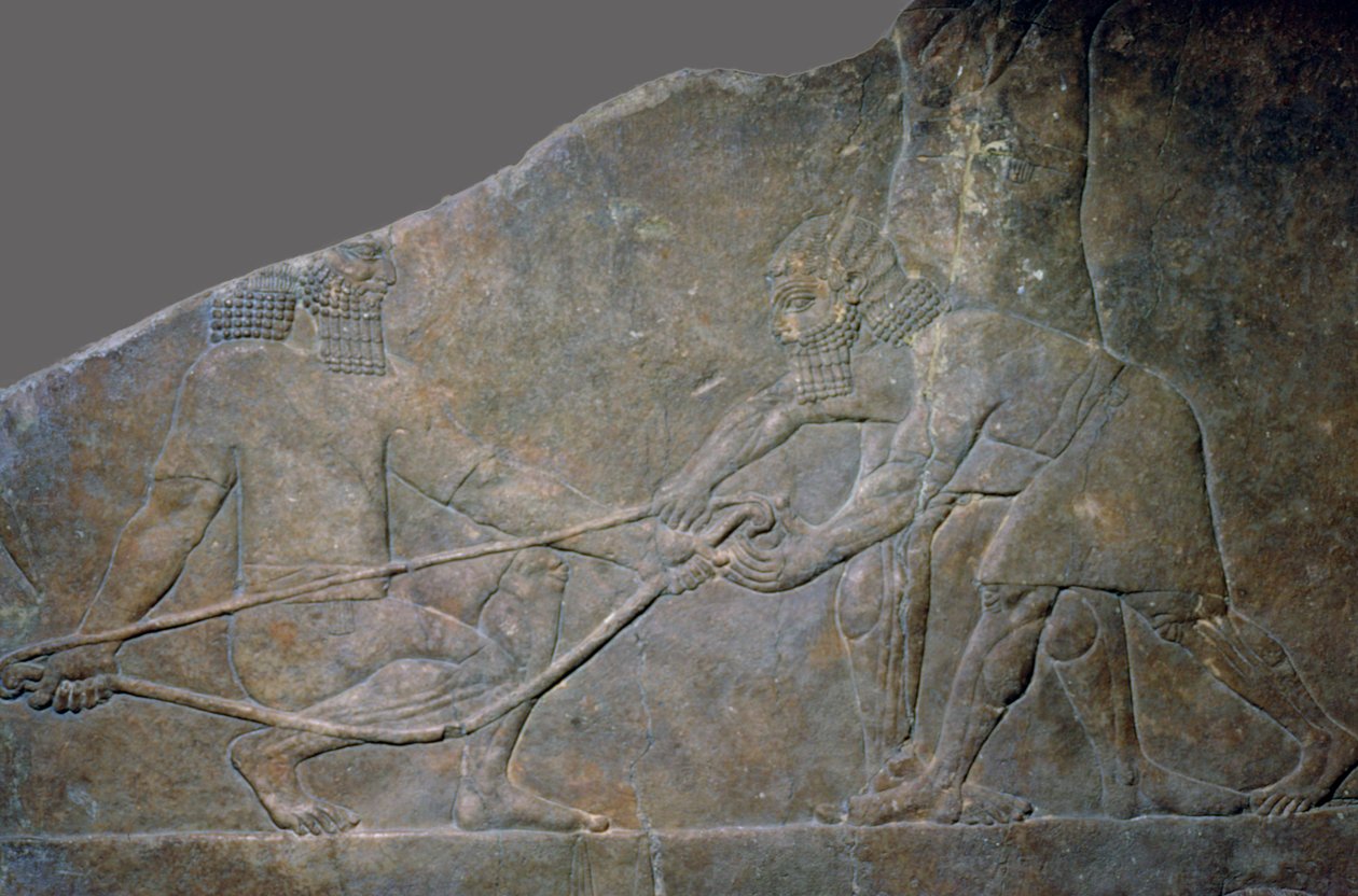Panel de piedra del Palacio Norte de Asurbanipal, Nínive, norte de Irak, Neo-Asirio, c. 645 a.C. de Unbekannt