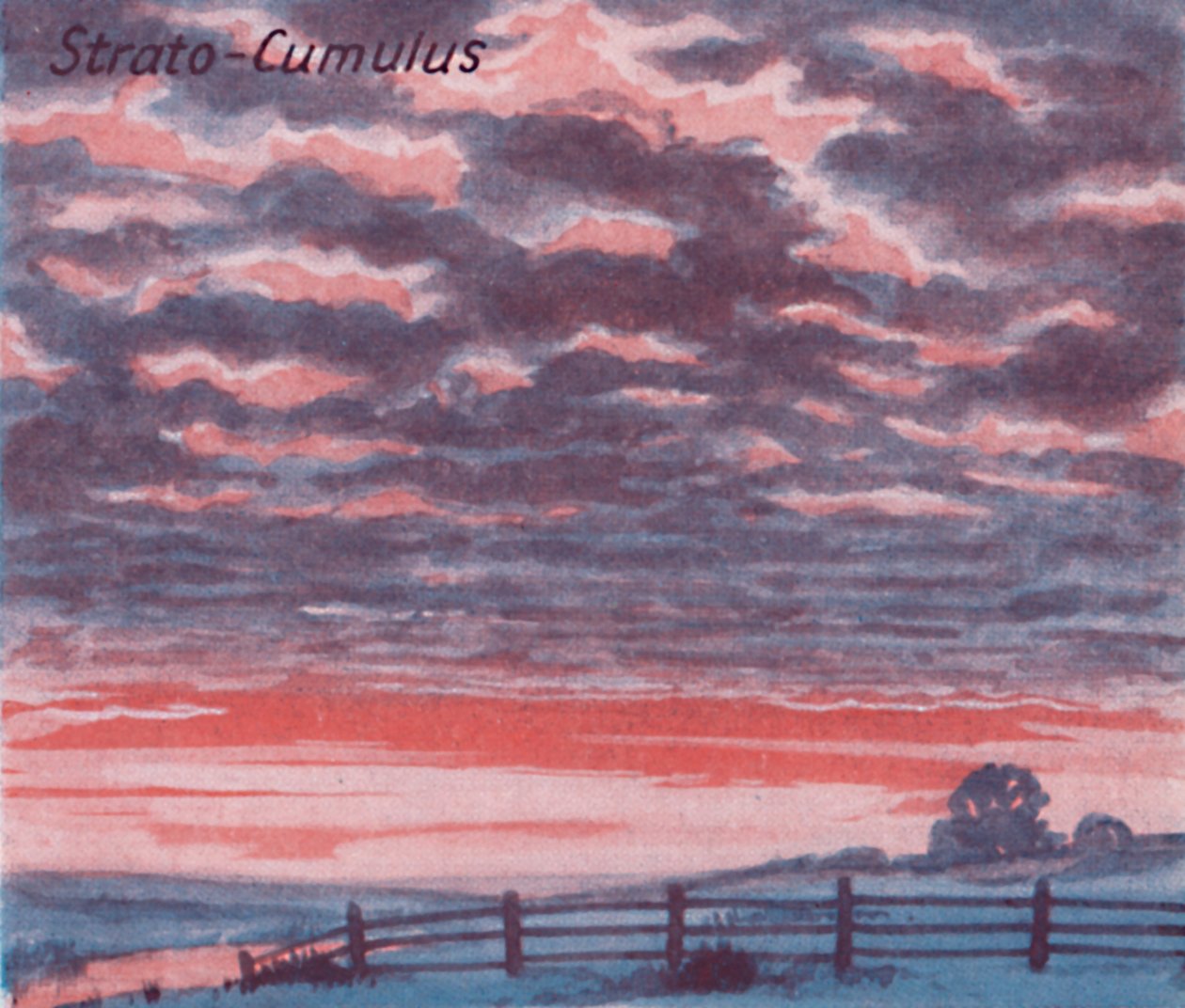 Estrato-Cúmulos - Una docena de las principales formas de nubes en el cielo, 1935 de Unbekannt