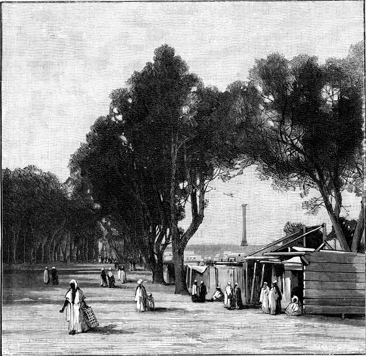 Escena callejera con la Columna de Pompeyo en la distancia, Alejandría, Egipto, 1900 de Unbekannt