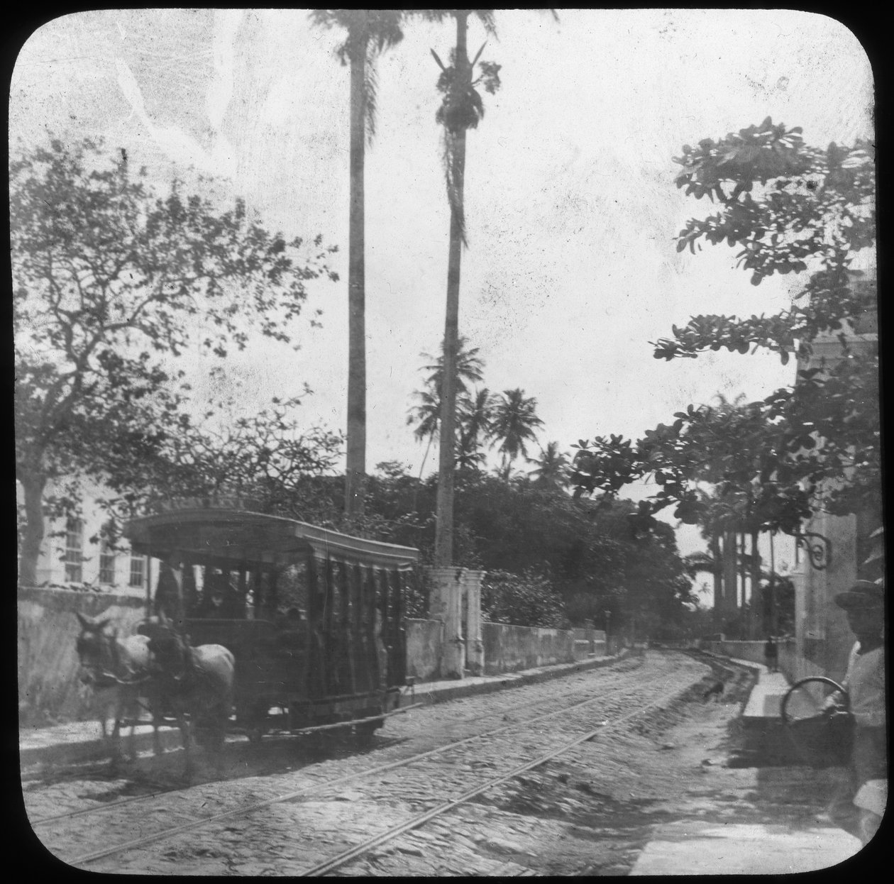 Escena callejera con tranvía tirado por caballos, Pernambuco, Brasil, finales del siglo XIX o principios del XX de Unbekannt