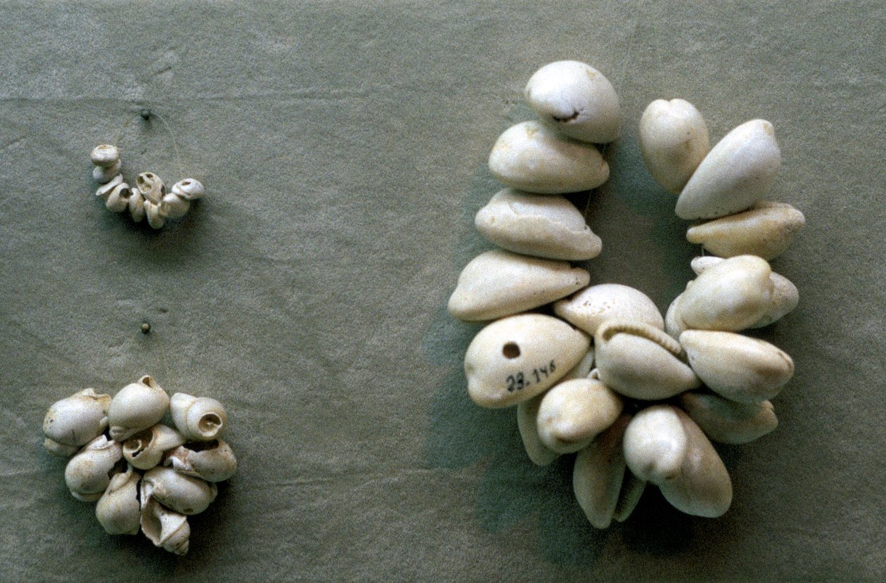 Cuerdas de conchas de cauri de Unbekannt