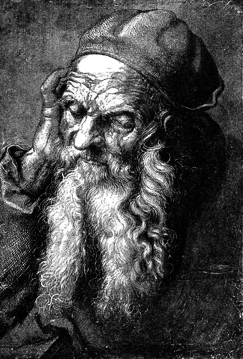 Estudio de un anciano, finales del siglo XV - principios del siglo XVI de Unbekannt